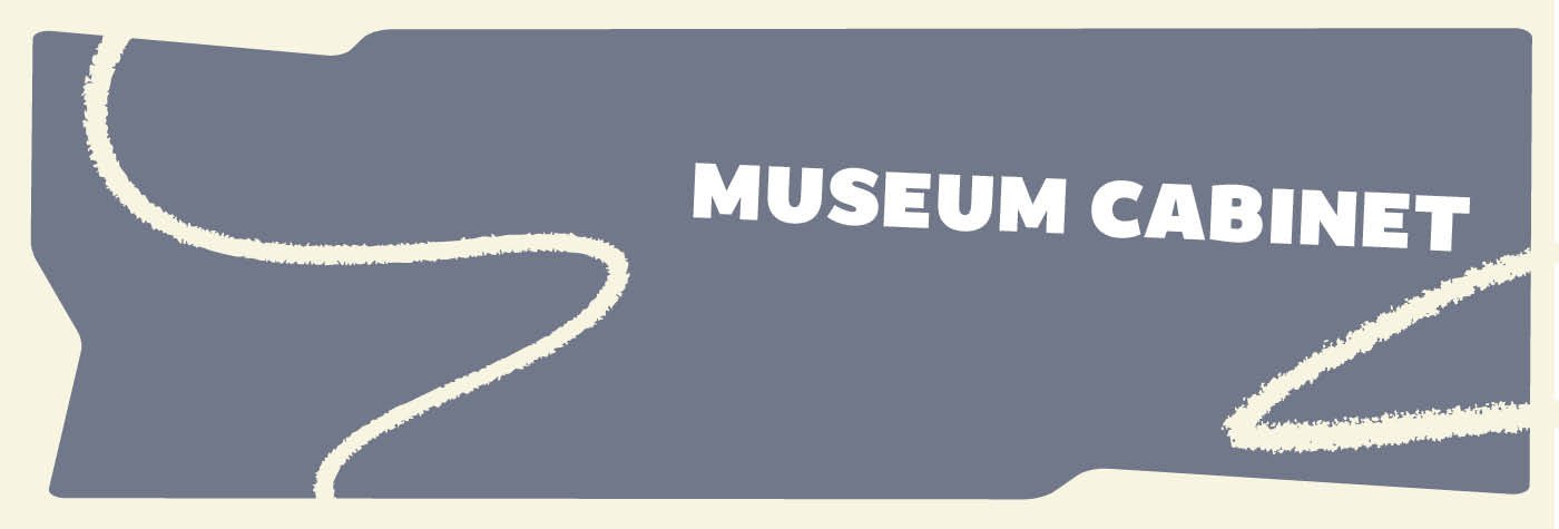 museum-cabinet-1400x475